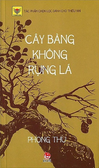 Cây bàng không rụng lá