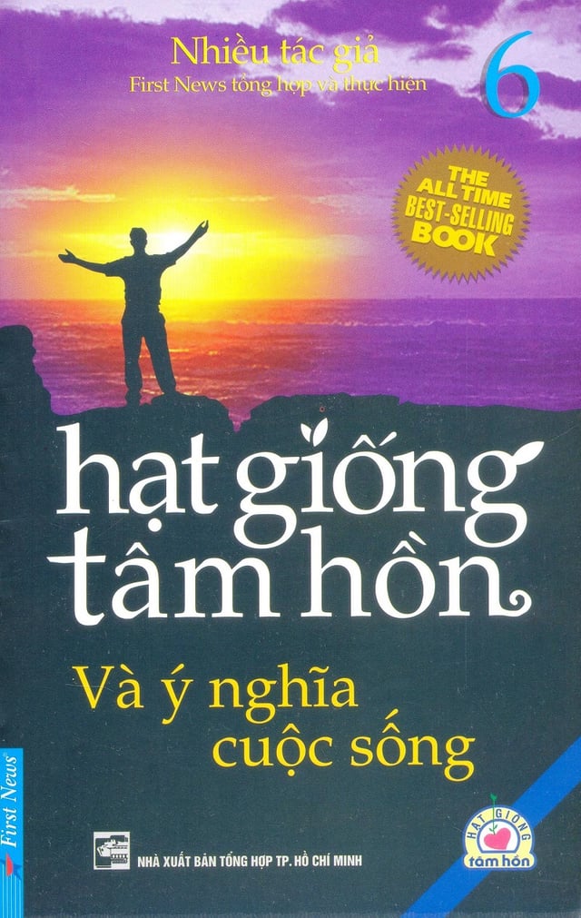 Hạt Giống Tâm Hồn 6 - Ý Nghĩa Cuộc Sống