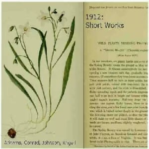 1912: Short Works Collection