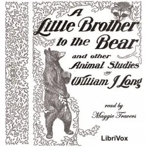 Little Brother to the Bear