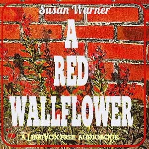 Red Wallflower