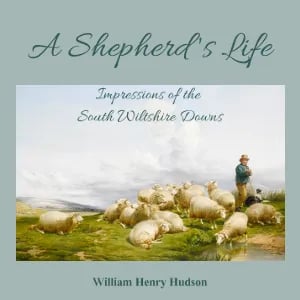 Shepherd's Life; Impressions Of The South Wiltshire Downs