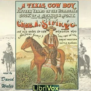 Texas Cowboy; Or Fifteen Years on the Hurricane Deck of a Spanish Pony