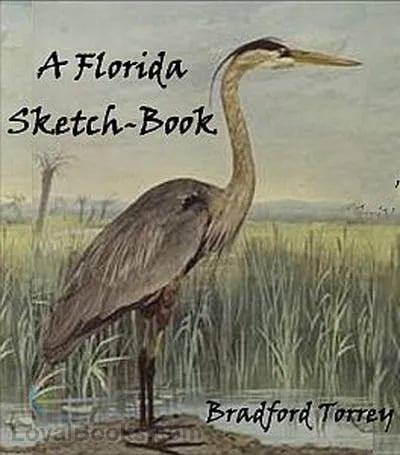 A Florida Sketch-Book