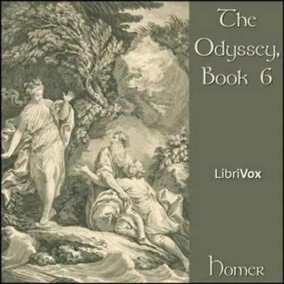 The Odyssey, Book 6