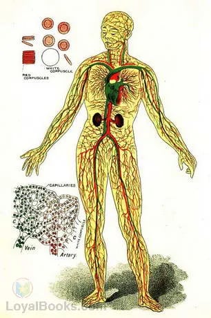 Physiology and Hygiene