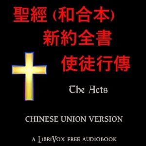 聖經 (和合本) 新約：使徒行傳 (Acts)