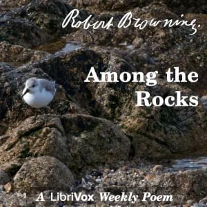 Among The Rocks