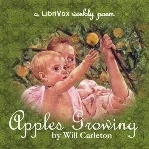 Apples Growing