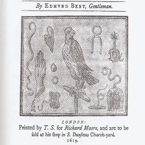 Bert's Treatise of Hawkes and Hawking