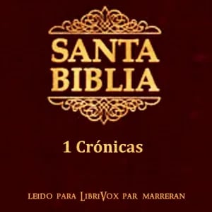 Bible (Reina Valera) 13: 1 Crónicas