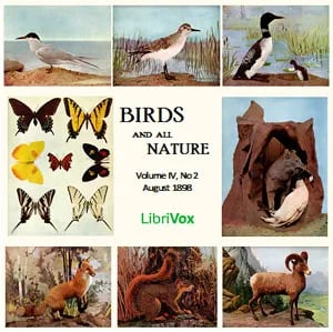 Birds and All Nature, Vol. IV, No 2, August 1898
