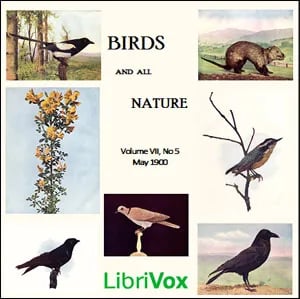 Birds and All Nature, Vol. VII, No 5, May 1900