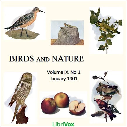 Birds and Nature, Vol. IX, No 1, January 1901