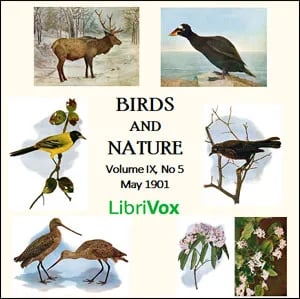 Birds and Nature, Vol. IX, No 5, May 1901