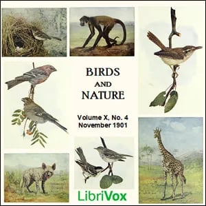 Birds and Nature, Vol. X, No 4, November 1901