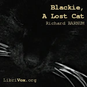 Blackie, A Lost Cat