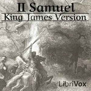 Bible (KJV) 10: 2 Samuel