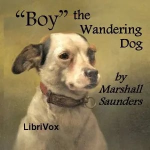 "Boy" The Wandering Dog