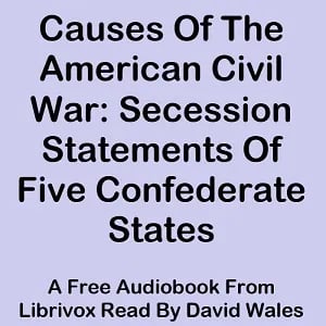 Causes Of The American Civil War: Secession Statements Of Five Confederate States (South Carolina, Texas, Virginia, Georgia, Mississippi)