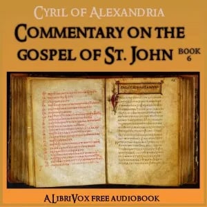 Commentary on the Gospel of John, Book 6