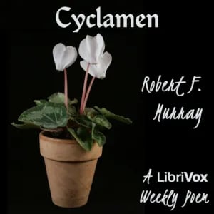 Cyclamen