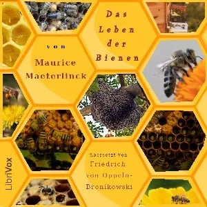 Leben der Bienen