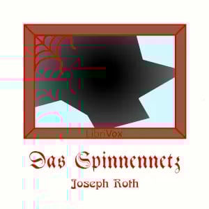 Spinnennetz