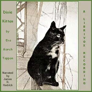 Dixie Kitten