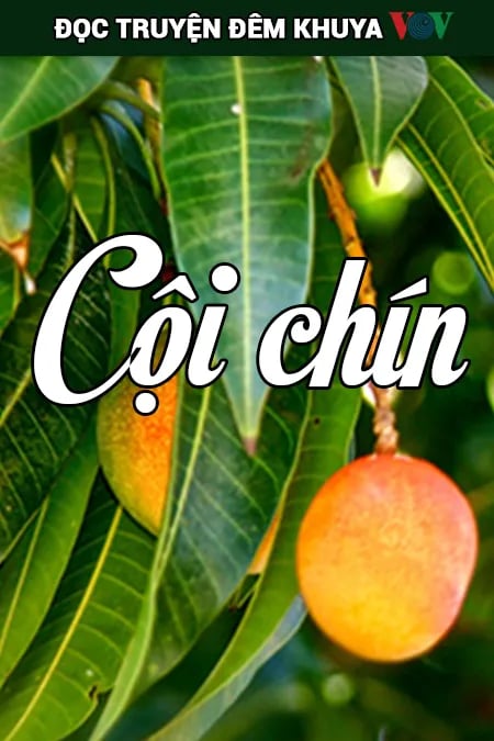 Đọc Truyện Đêm Khuya Vov - Cội Chín