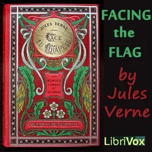 Facing the Flag
