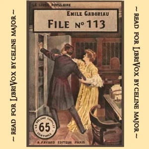 File No. 113