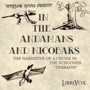 In the Andamans and Nicobars