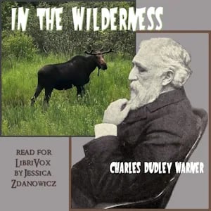 In the Wilderness (Version 2)