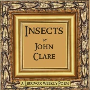 Insects