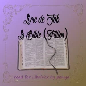 Bible (Fillion) 18: Livre de Job