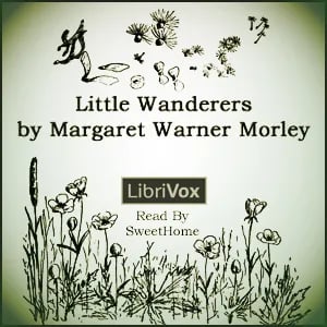 Little Wanderers