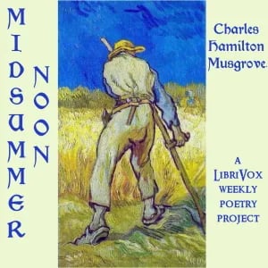 Midsummer Noon