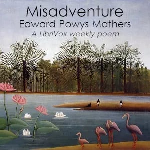 Misadventure
