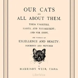 Our Cats and All About Them