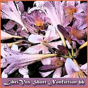 Short Nonfiction Collection, Vol. 066