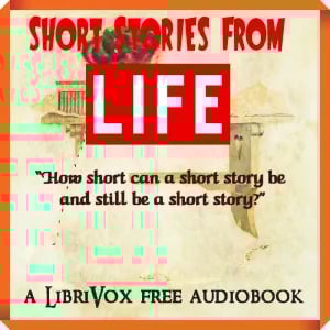 Short Stories From Life