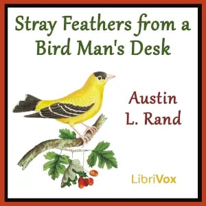Stray Feathers From a Bird Man's Desk