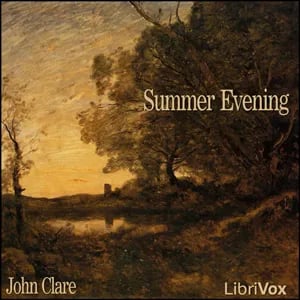 Summer Evening