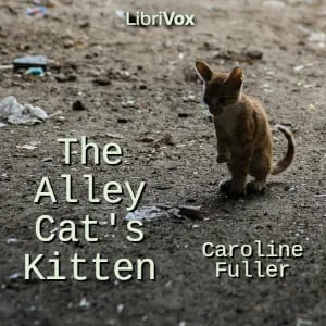 The Alley Cat’s Kitten
