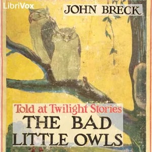The Bad Little Owls