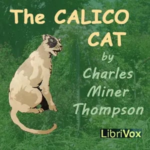 The Calico Cat (version 2)