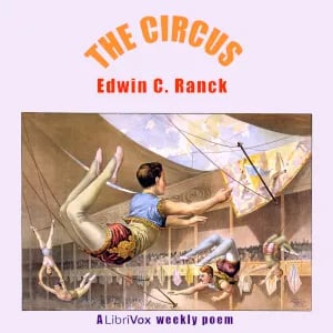 The Circus