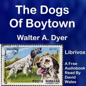 The Dogs Of Boytown