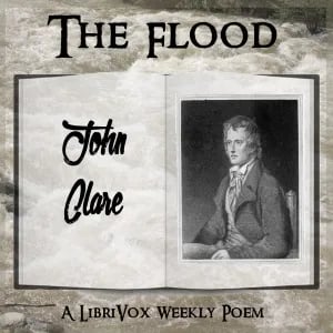 The Flood